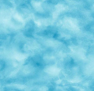 Meet your Posher, Ally